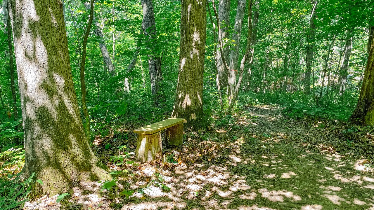 Photo of Outdoor in Viroqua