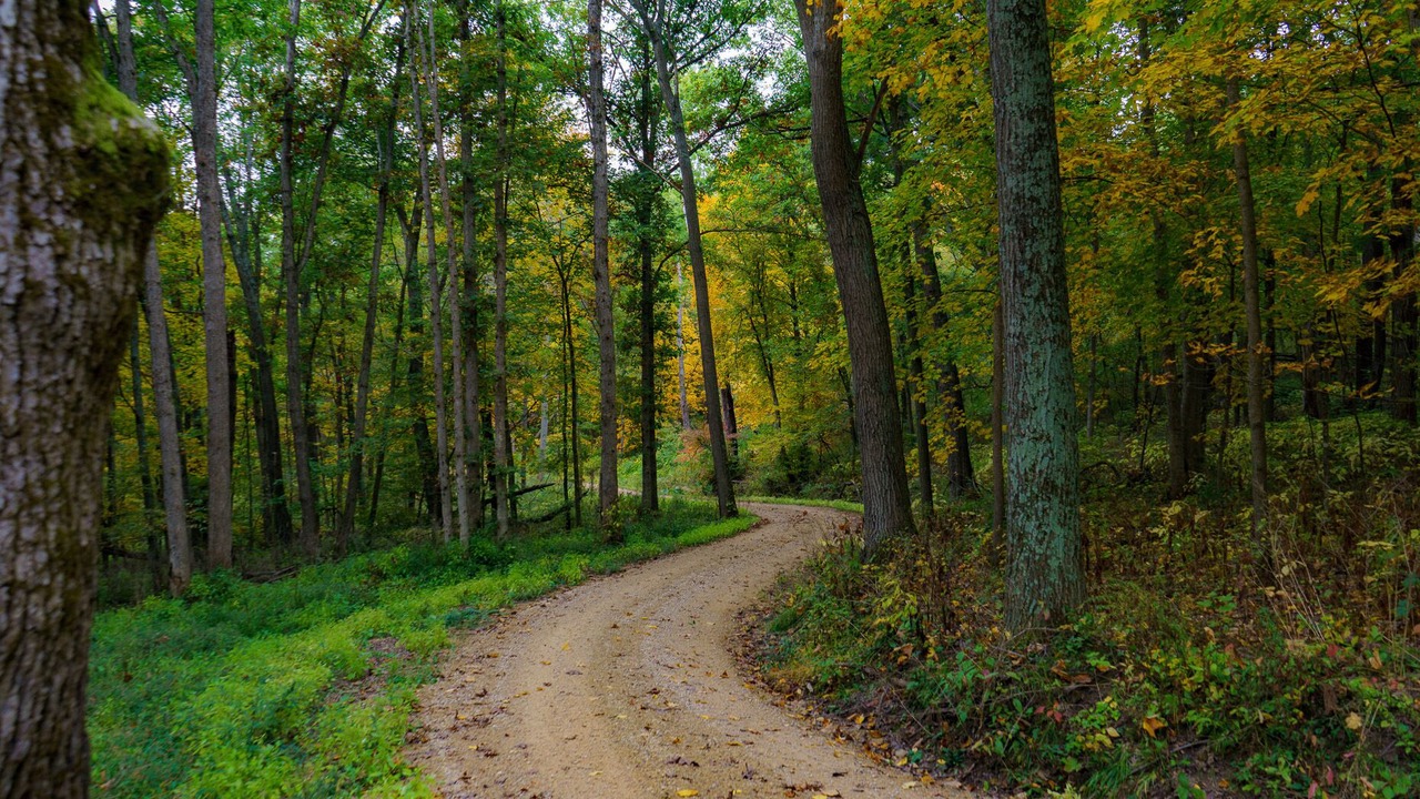 Photo of Outdoor in Viroqua