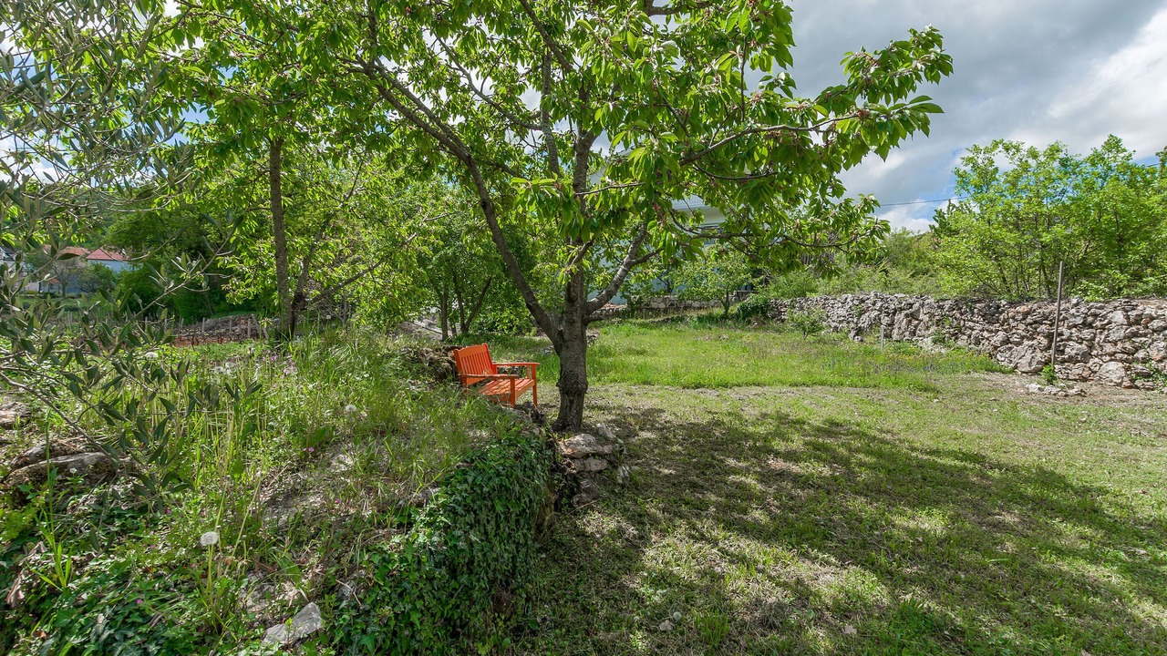 Photo of Outdoor in Podbablje