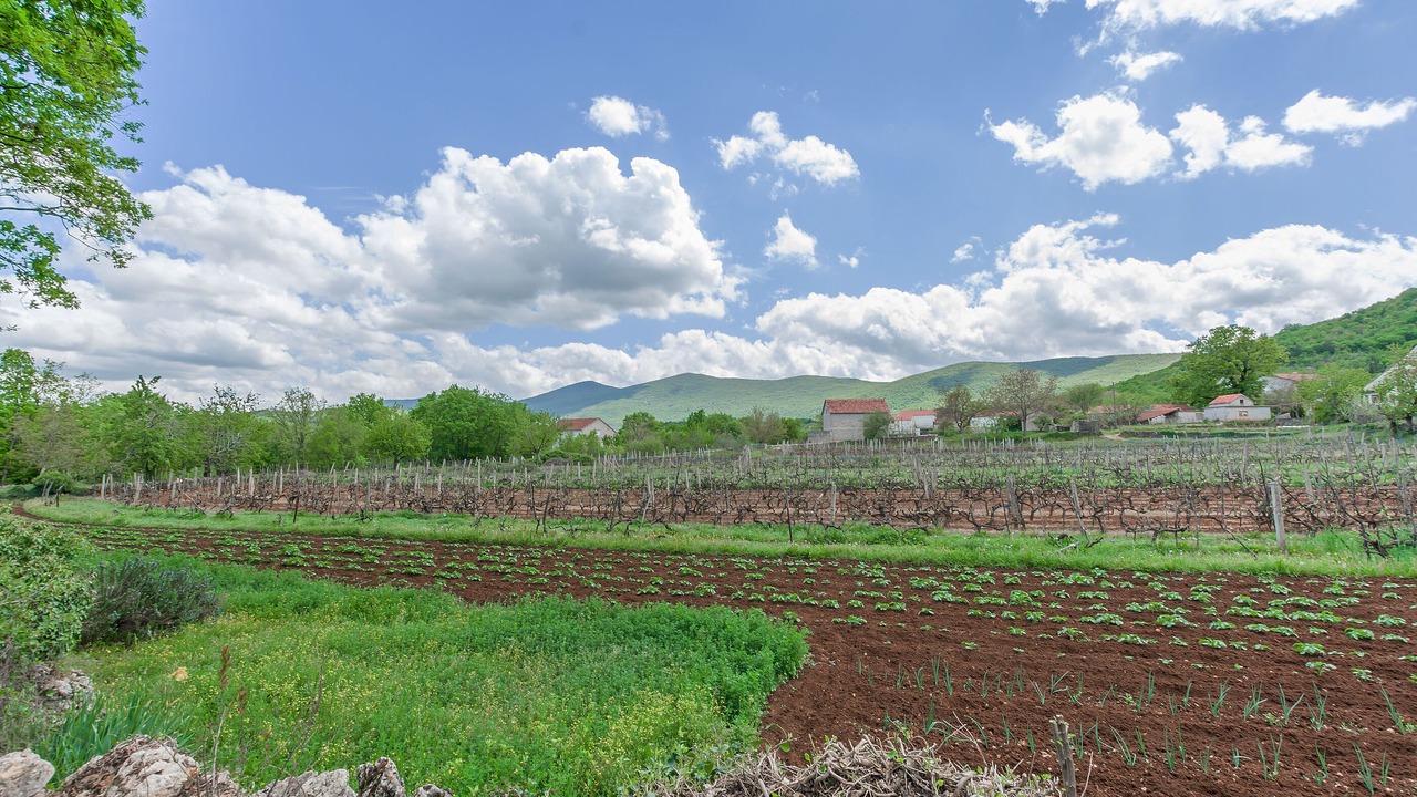 Photo of Outdoor in Podbablje