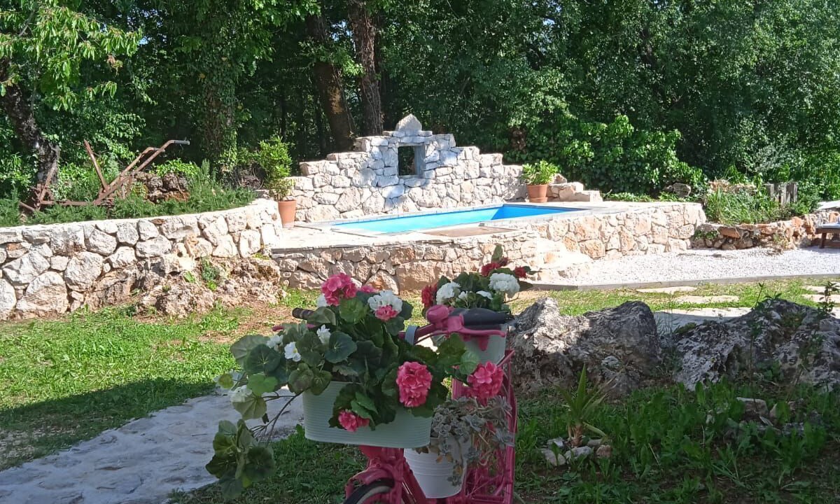 Photo of Outdoor in Podbablje