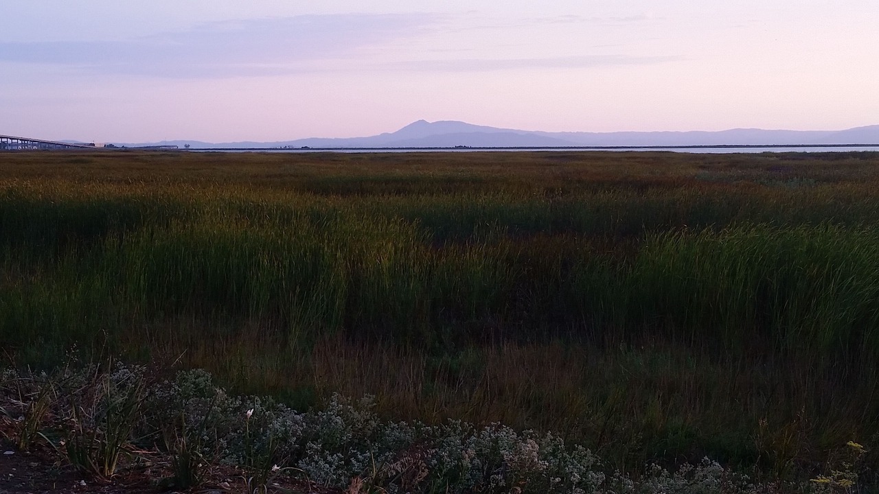 Photo of Others in Vallejo