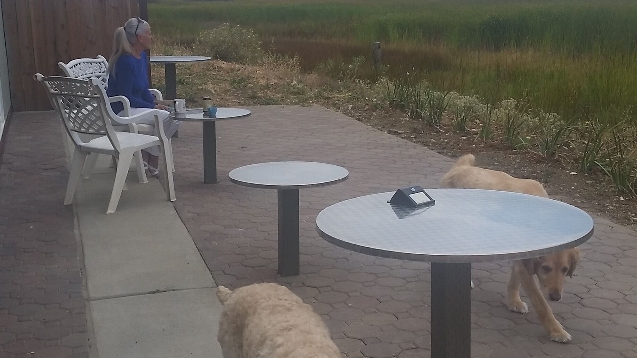 Photo of Outdoor in Vallejo