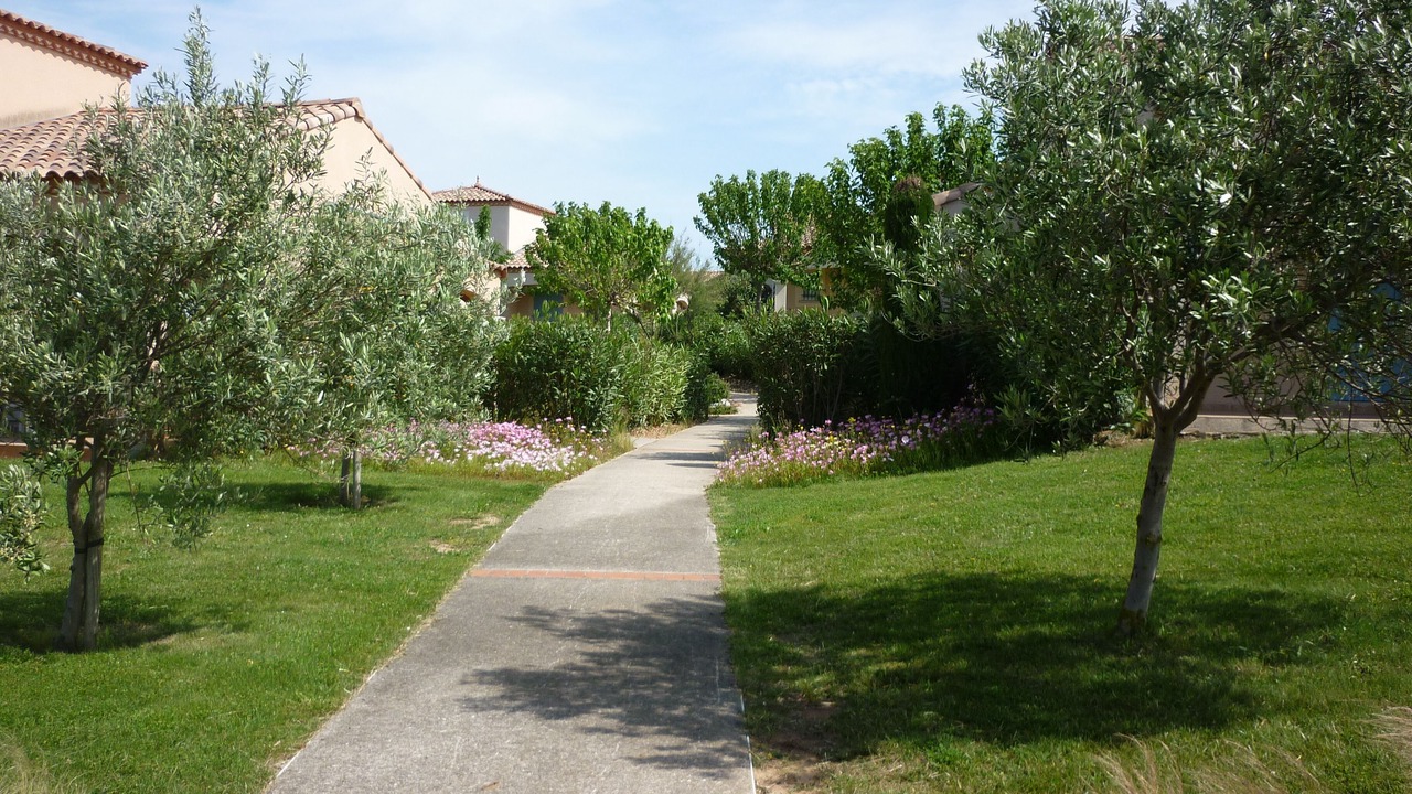 Photo of Outdoor in Homps