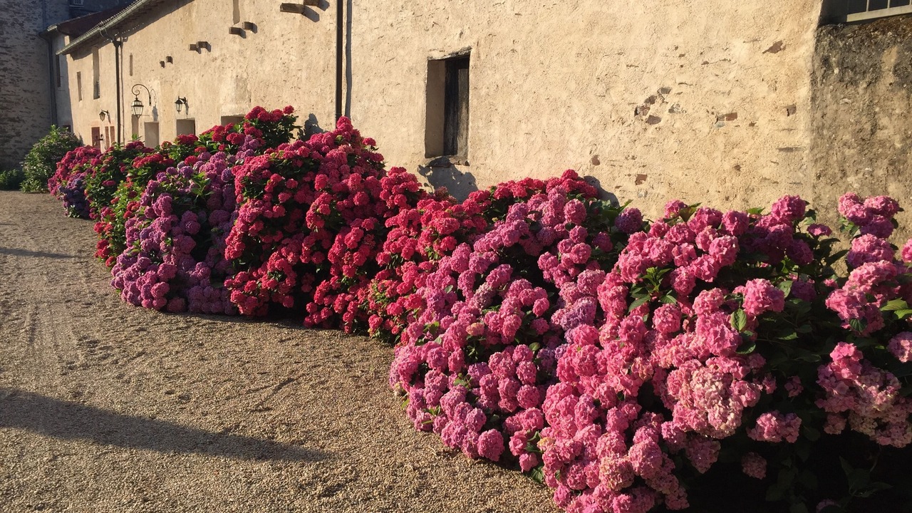 Photo of Outdoor in Sainte-Pazanne
