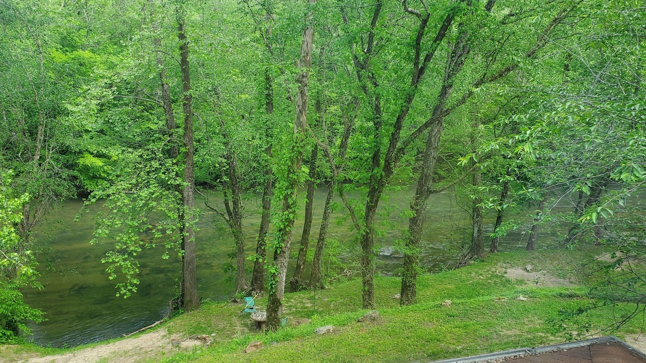 Photo of Others in Dahlonega