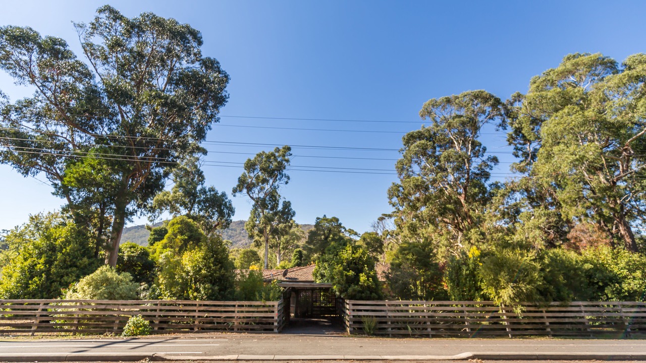 Photo of Others in Halls Gap