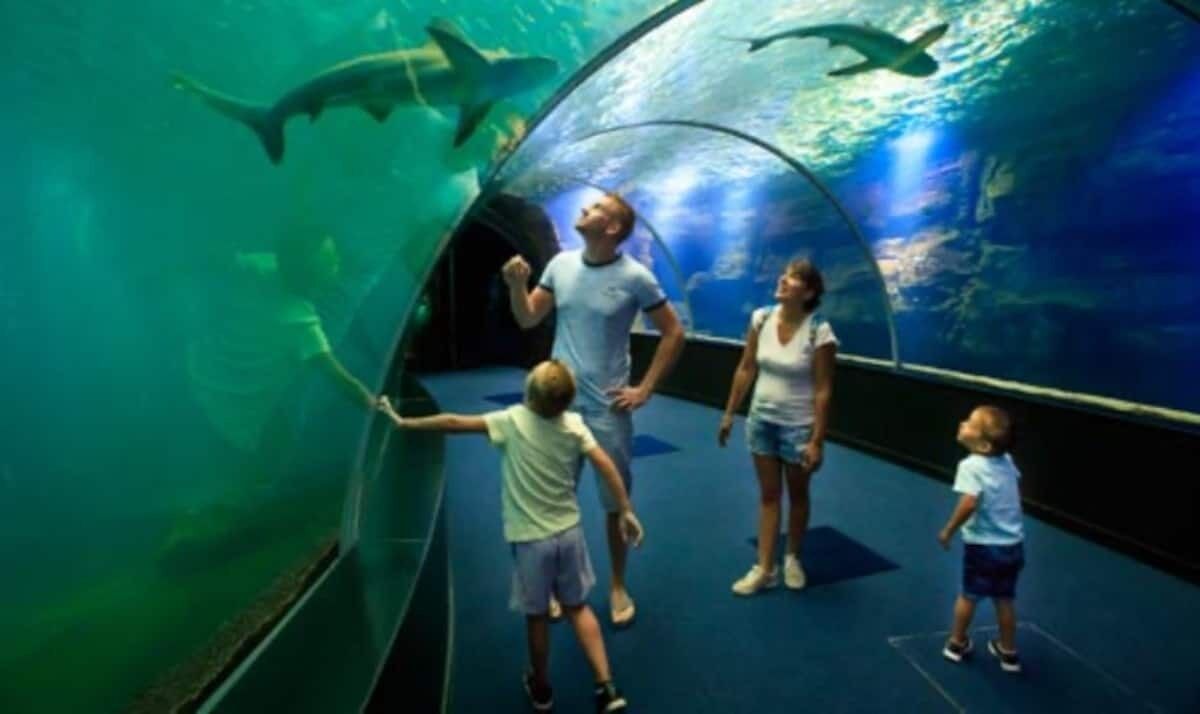 Photo of Others in Doudeauville