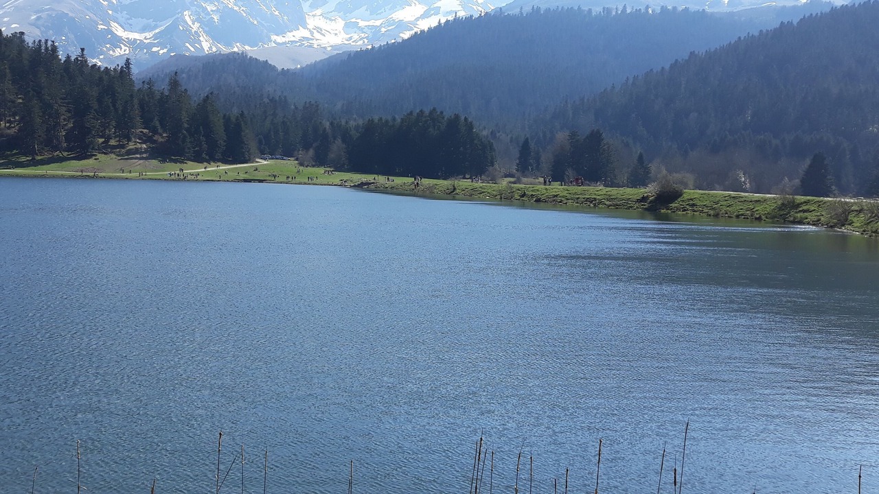 Photo of Others in Lagarde