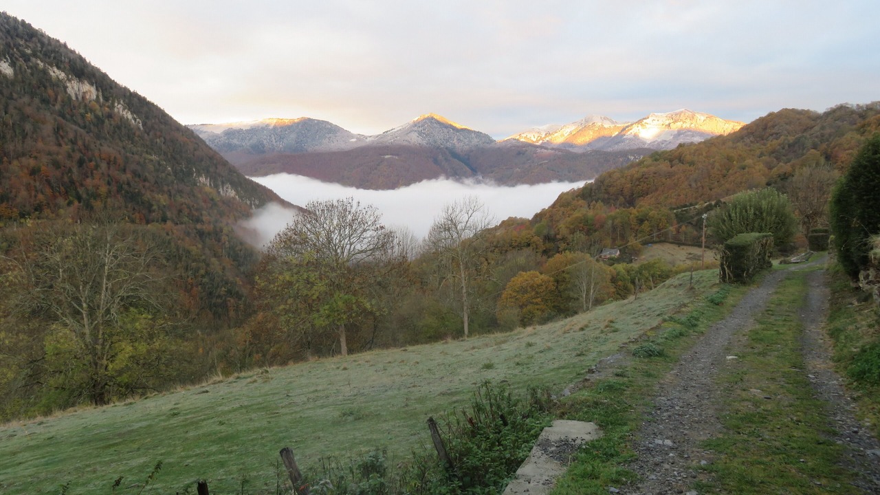 Photo of Outdoor in Ardengost