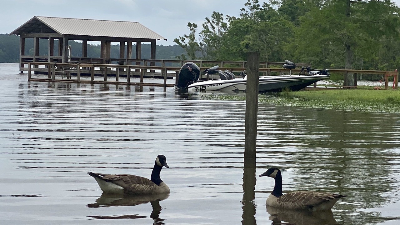 Photo of Others in Negreet