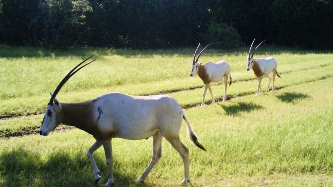 Photo of Others in Gatesville