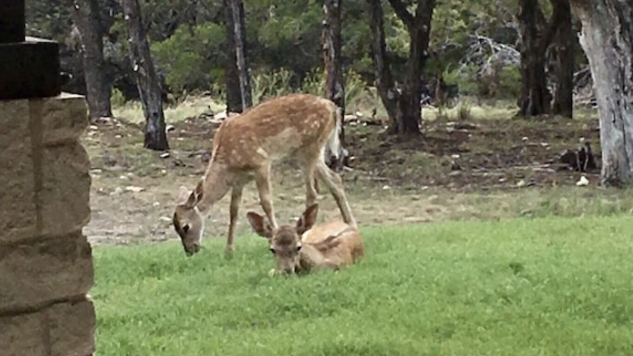 Photo of Outdoor in Gatesville