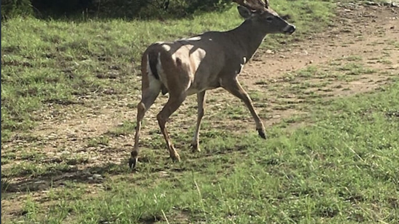 Photo of Outdoor in Gatesville