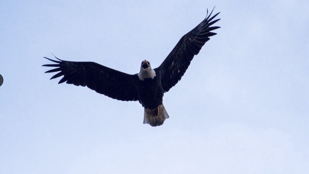 Photo of Others in Gatesville