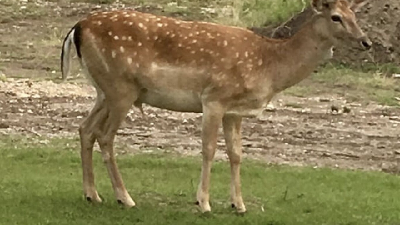 Photo of Others in Gatesville