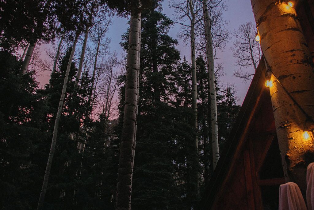 Photo of Others in Taos Ski Valley