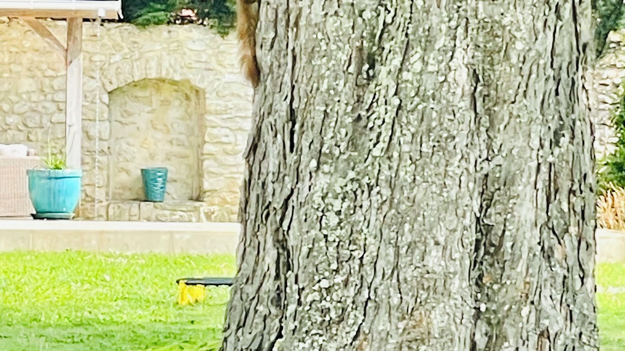 Photo of Outdoor in Saint-Nom-la-Breteche