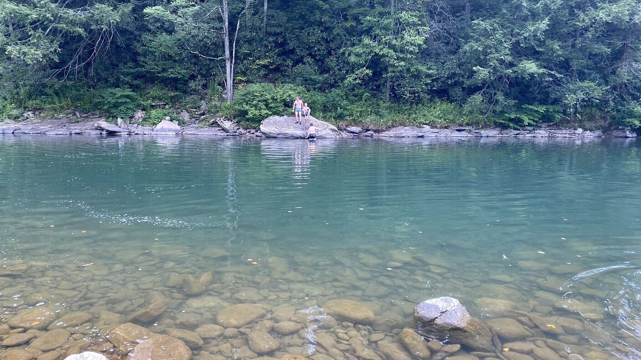 Photo of Others in Nisbet