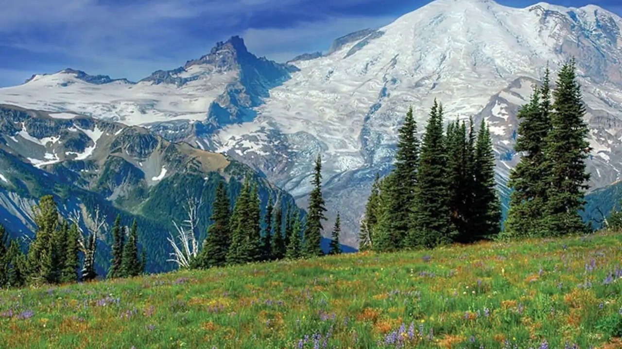 Photo of Others in SeaTac