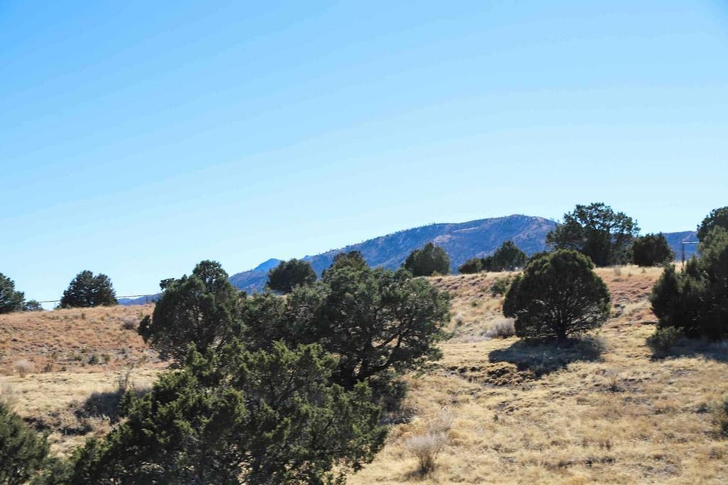 Photo of Outdoor in Nogal