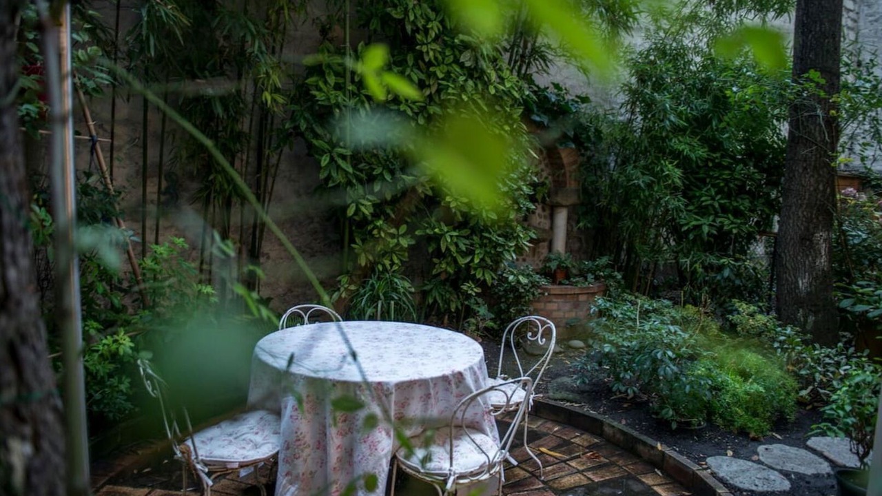 Photo of Outdoor in 16th Arrondissement
