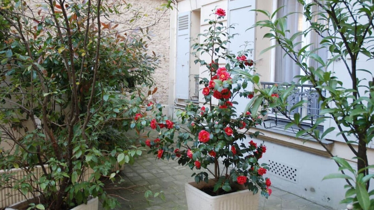 Photo of Outdoor in 16th Arrondissement