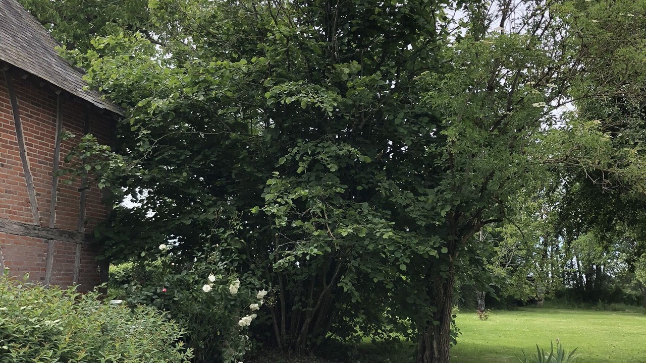 Photo of Outdoor in Autry-le-Chatel