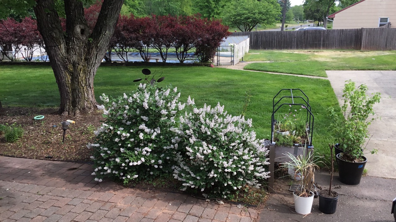 Photo of Outdoor in Hillsborough