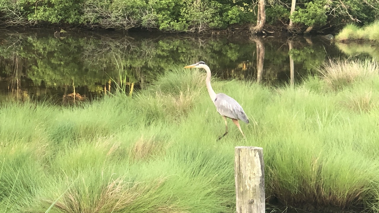 Photo of Others in Reedville