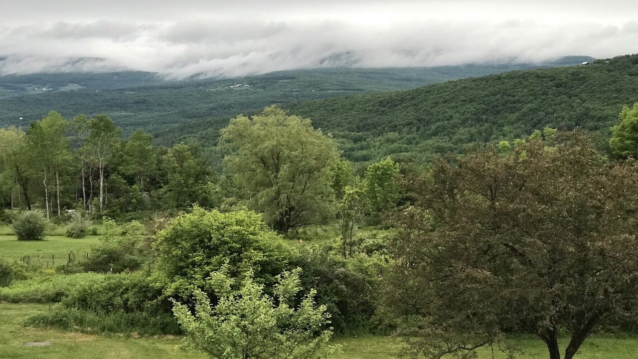 Photo of Outdoor in Preston-Potter Hollow