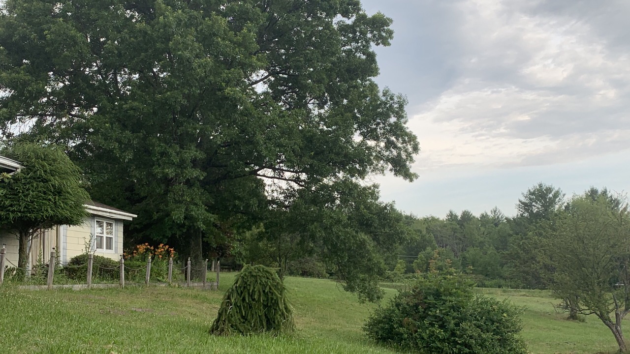 Photo of Outdoor in Preston-Potter Hollow