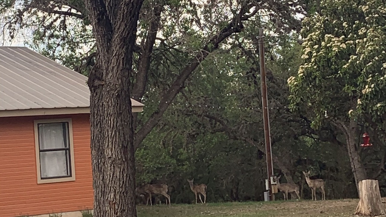Photo of Outdoor in Concan