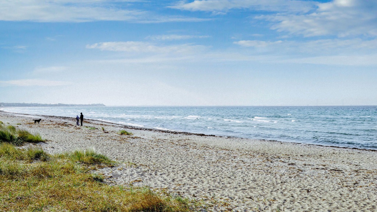 Photo of Others in Frolunde