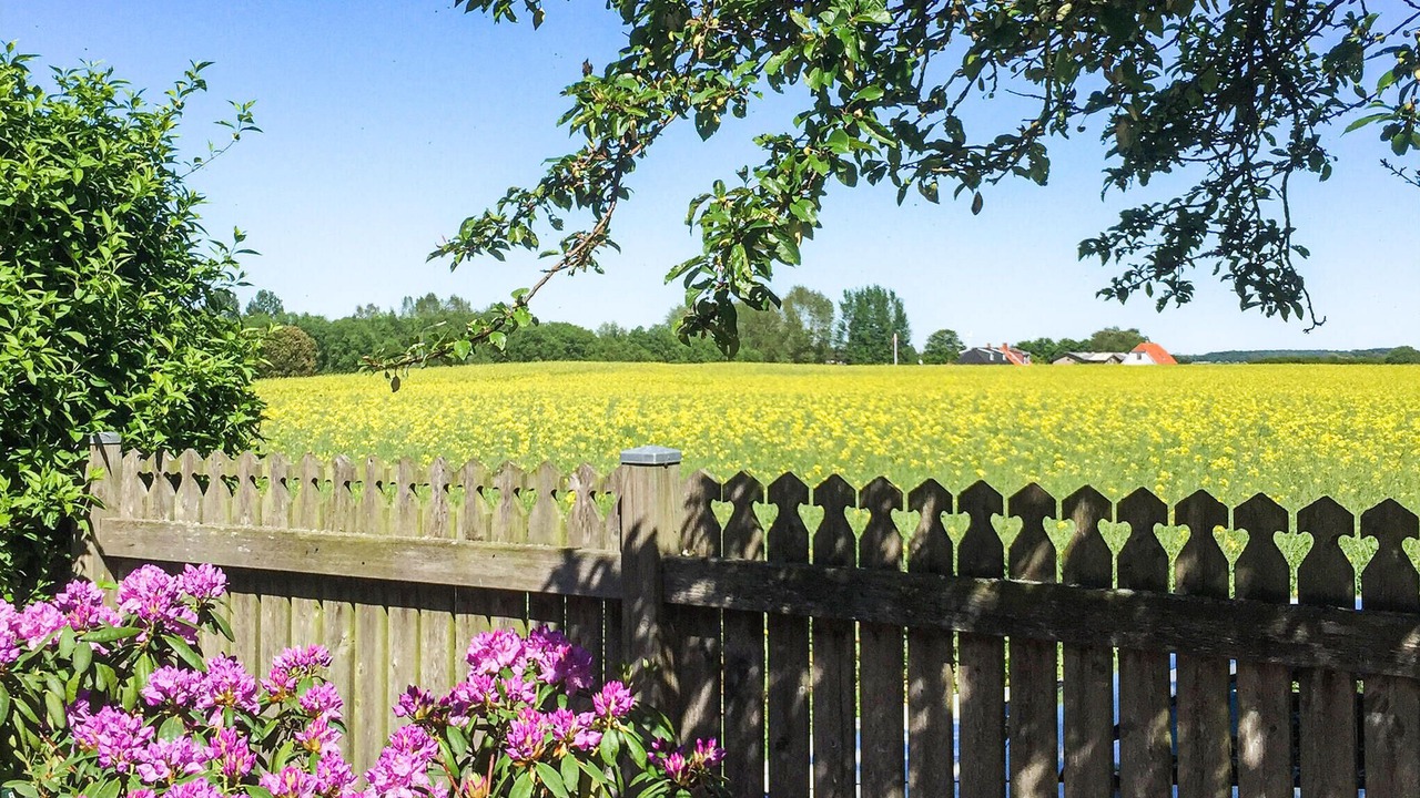 Photo of Bedroom in Nysted