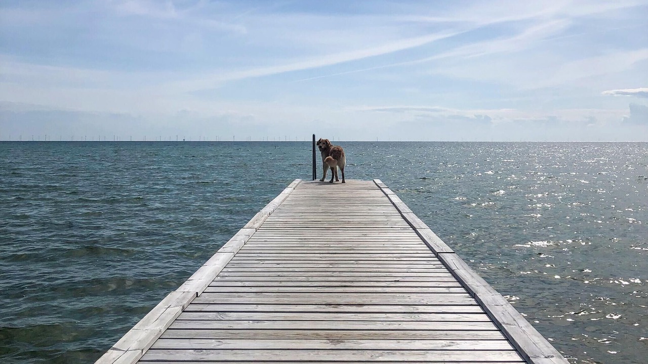 Photo of Others in Nysted