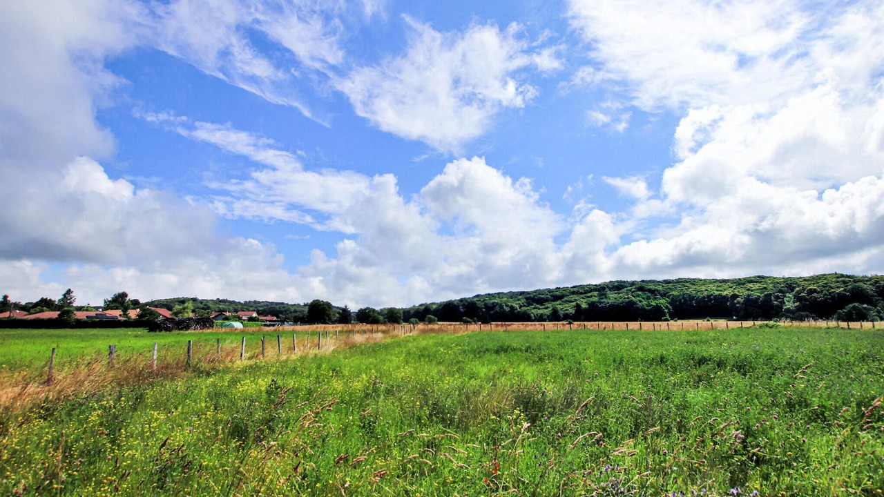 Photo of Bedroom in Flacheres