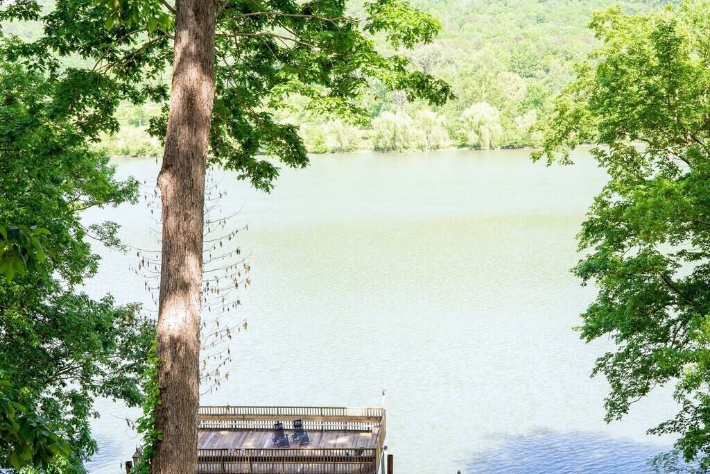 Photo of Others in Whiteside