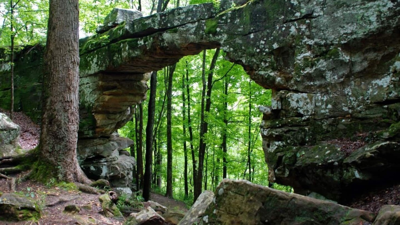 Photo of Outdoor in Winchester