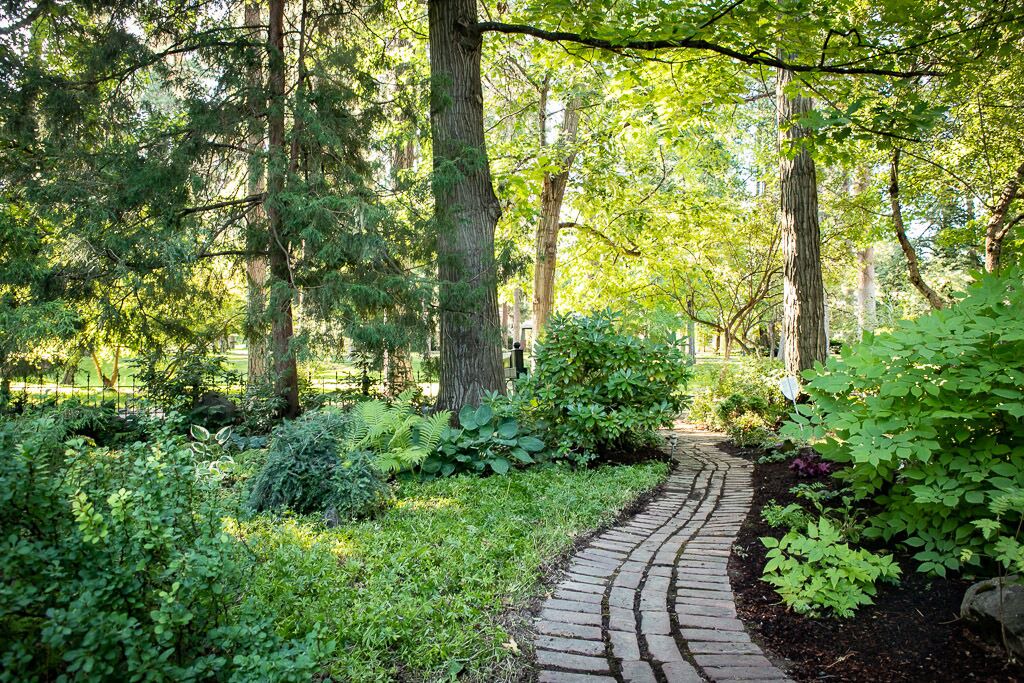 Photo of Outdoor in Manito