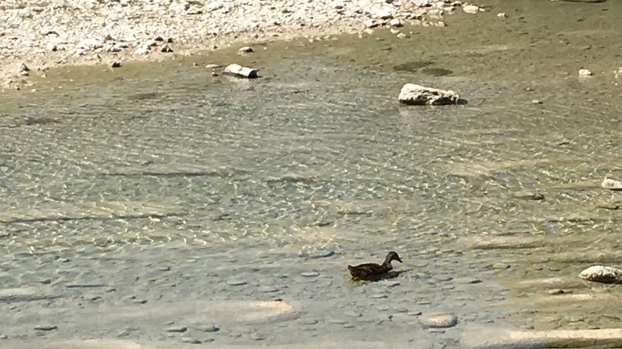 Photo of Others in Lakehills