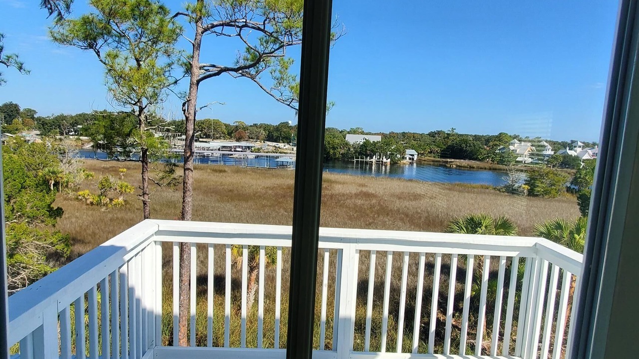 Photo of Others in Steinhatchee