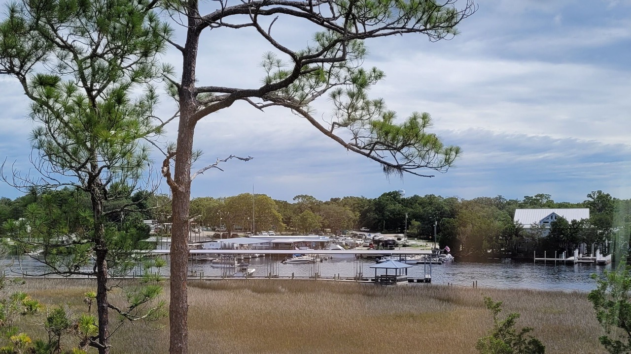 Photo of Others in Steinhatchee