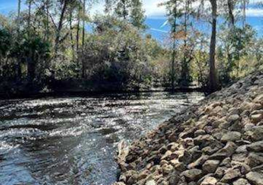 Photo of Others in Steinhatchee