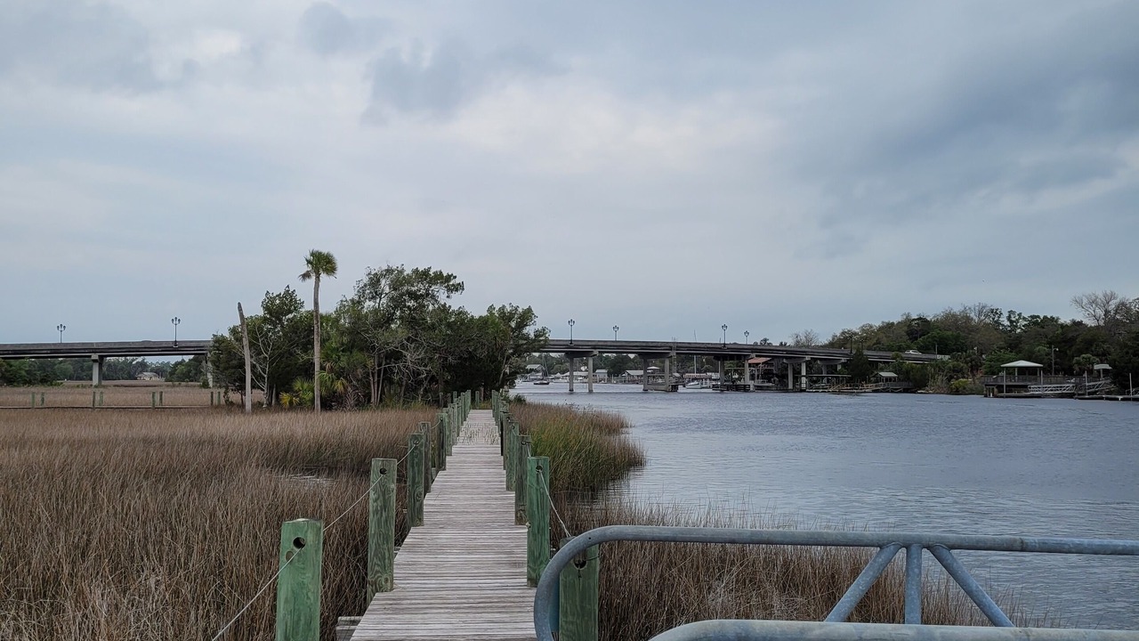 Photo of Others in Steinhatchee