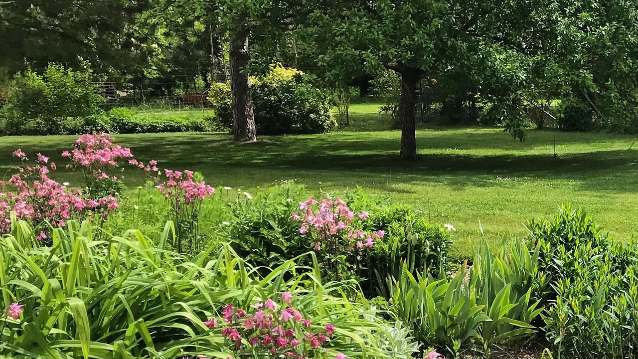 Photo of Outdoor in Baudement