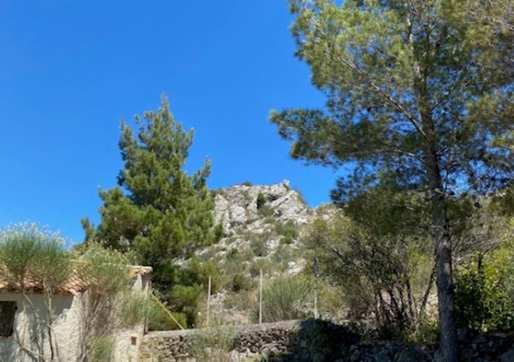 Photo of Outdoor in Roquefort-des-Corbieres