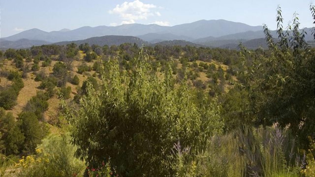 Photo of Others in Northeast Santa Fe