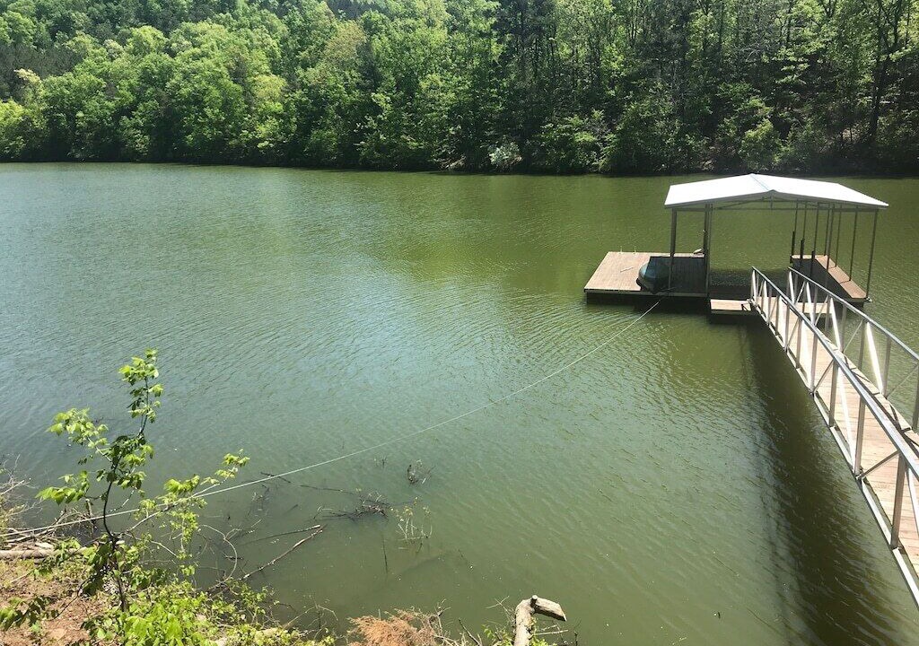Photo of Others in Crane Hill