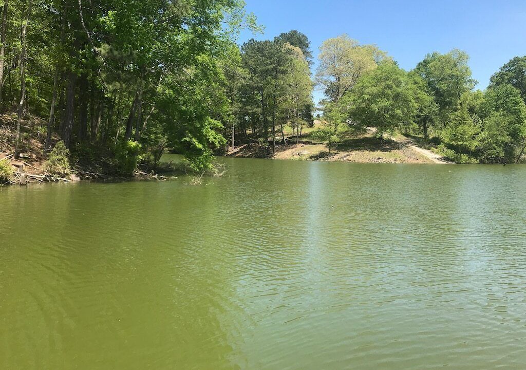 Photo of Outdoor in Crane Hill
